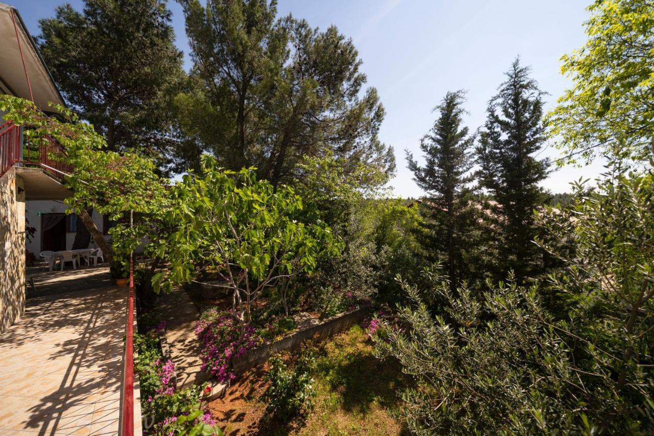 Studio Apartman Ema 2 Gornji Karin Εξωτερικό φωτογραφία