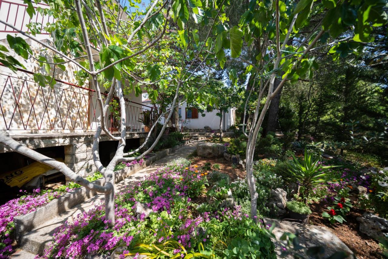 Studio Apartman Ema 2 Gornji Karin Εξωτερικό φωτογραφία